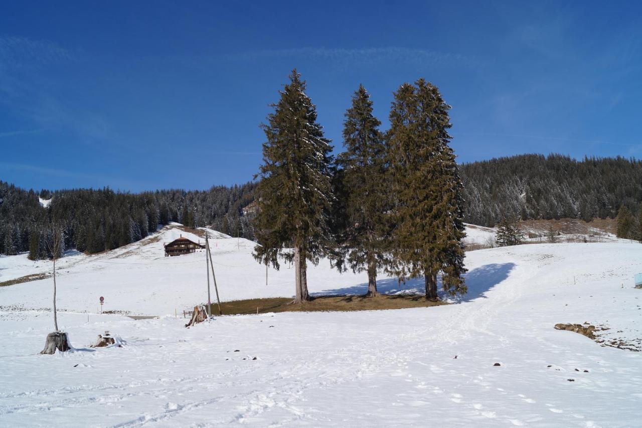 Chalet Alte Post Bad-Schwarzsee Ngoại thất bức ảnh